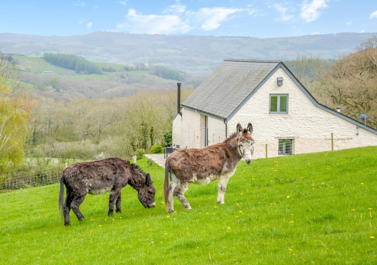 Usk Barn Lägenhet Llanbadoc Exteriör bild